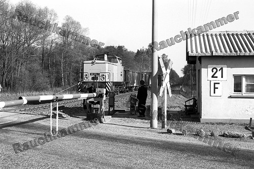 Fotoabzug 10x15 106 - 10x15, dr