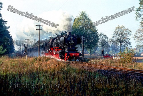 Fotoabzug 10x15 50 - 10x15, dr