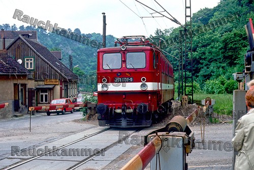 Fotoabzug 10x15 251 - 10x15, dr